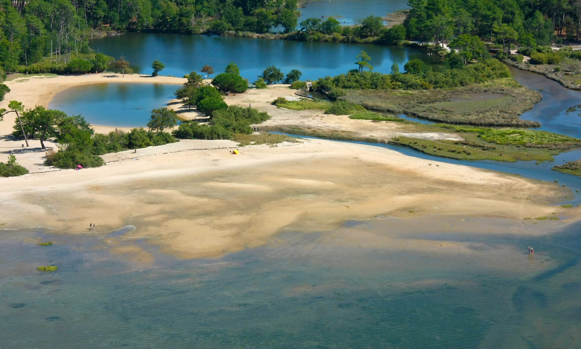 Arès Lac de Saint Brice - N0273