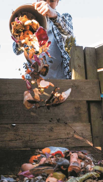 Compost compostage