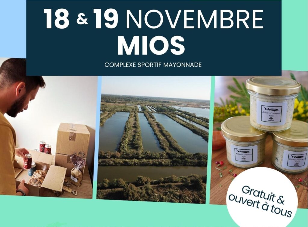 Salon Tous Bassin à Mios samedi 18 et dimanche 19 novembre 2023 au Complexe Sportif Mayonnade à Mios - Visuel Actu