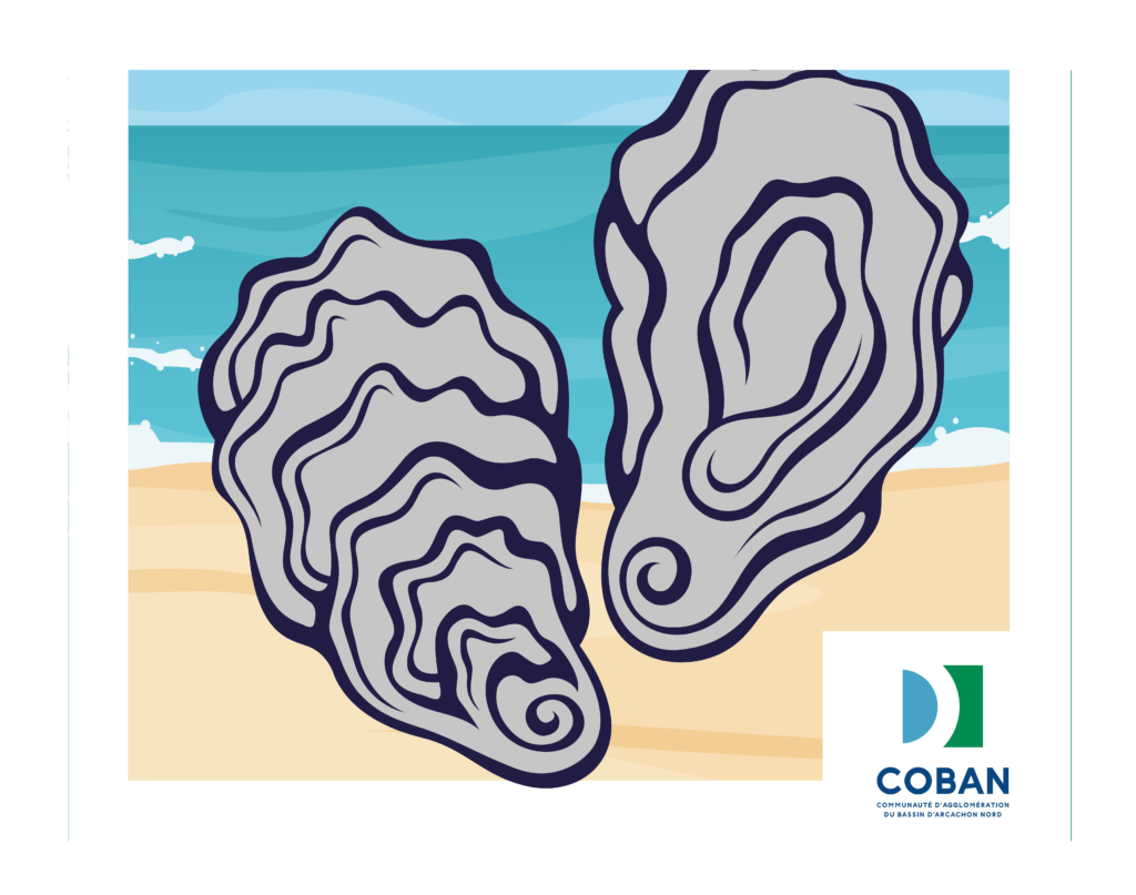 Visuel actu Recyclages des coquilles d'huîtres huitres dans les déchèteries