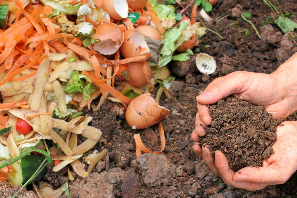 Biodéchets et compost Biodéchets et compost
